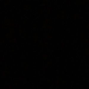 Meet your Posher, Shane